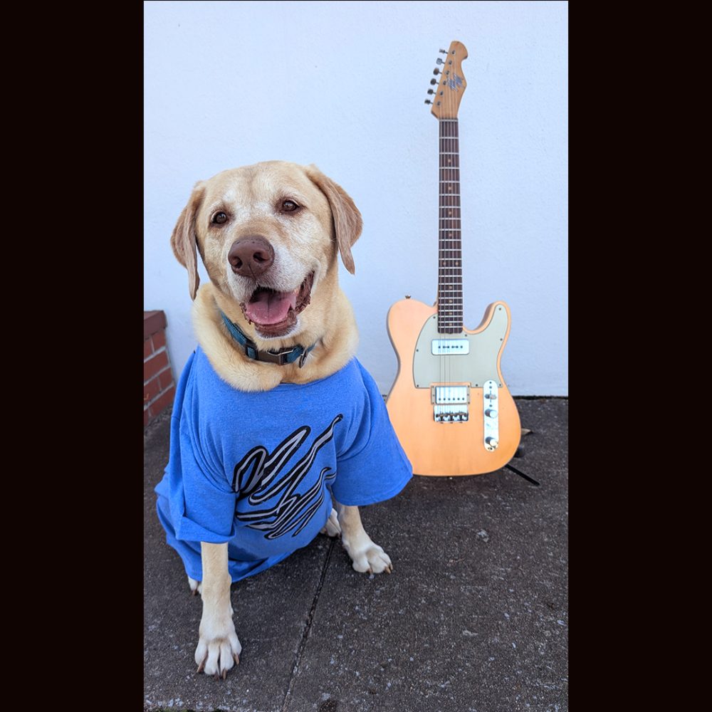 Mario Guitars T-Shirts - Image 4